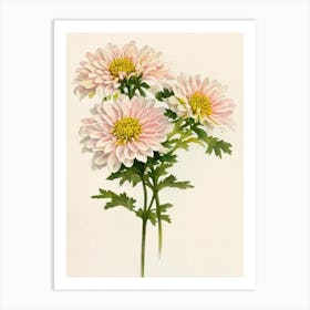 Chrysanthemums Vintage Flowers Flower Art Print