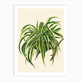 Spider Plant Minimalist Illustration 4 Art Print