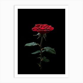 Single Red Rose On Black Background 39 Art Print