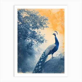 Vintage Navy Blue & Orange Peacock On A Thatched Roof Art Print
