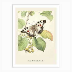 Beatrix Potter Inspired  Animal Watercolour Butterfly 1 Art Print