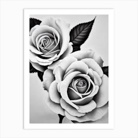 Rose B&W Pencil 3 Flower Art Print