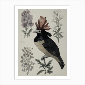 Bird Of Paradise 2 Art Print