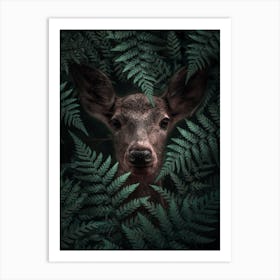 Deer In Ferns Art Print