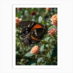 Butterfly On Roses 1 Art Print