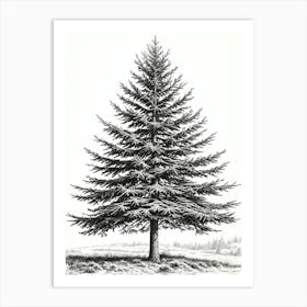 Fir Tree Pencil Sketch Ultra Detailed 7 Art Print