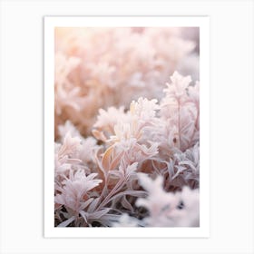 Frosty Botanical Daphne 1 Art Print