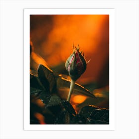 Poster Flower Art Print 9 Art Print