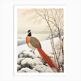 Bird Illustration Pheasant 2 Art Print