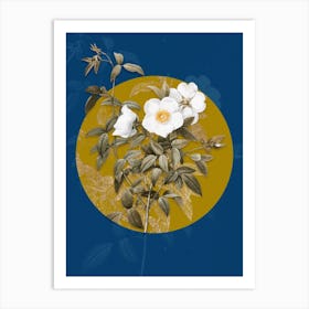 Vintage Botanical White Rose of Snow on Circle Yellow on Blue Art Print