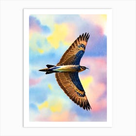 Harrier Watercolour Bird Art Print