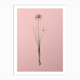 Vintage Autumn Onion Botanical on Soft Pink n.0625 Art Print
