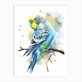 Budgie Watercolor Painting Colorful Illustration Art Print