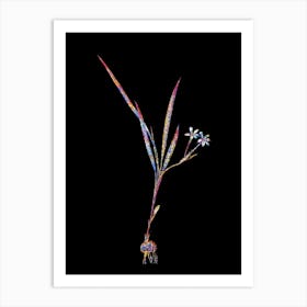 Stained Glass Gladiolus Inclinatus Mosaic Botanical Illustration on Black n.0347 Art Print