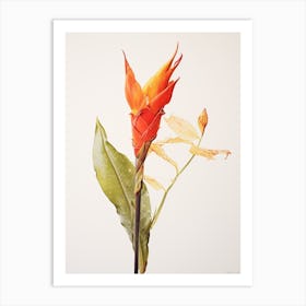 Pressed Flower Botanical Art Heliconia 3 Art Print