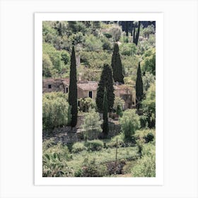 Cypresses On The Hill Art Print