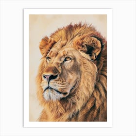 Barbary Lion Portrait Close Up Illustration 1 Art Print