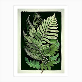 Wood Fern 1 Vintage Botanical Poster Art Print