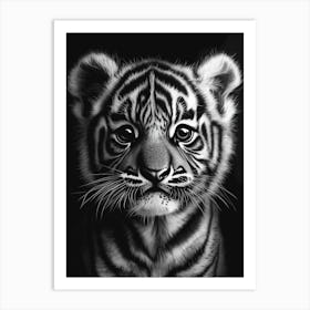 Tiger Cub Art Print