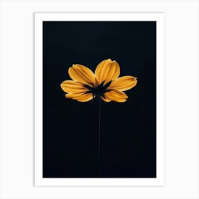 Single Yellow Flower 1 Art Print