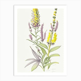 Lysimachia Floral Quentin Blake Inspired Illustration 1 Flower Art Print
