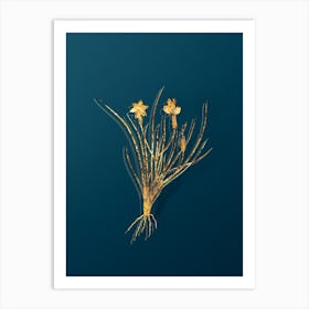 Vintage Golden Blue eyed Grass Botanical in Gold on Teal Blue n.0137 Art Print