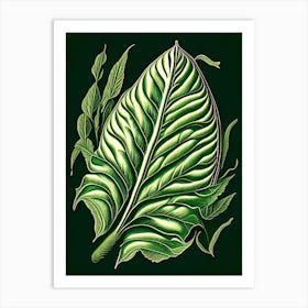 Comfrey Leaf Vintage Botanical 3 Art Print