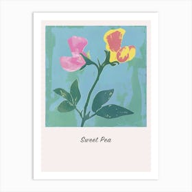 Sweet Pea 2 Square Flower Illustration Poster Art Print