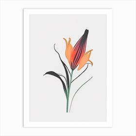 Inca Lily Floral Minimal Line Drawing 1 Flower Art Print