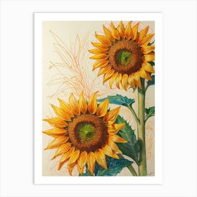 Sunflowers 11 Art Print