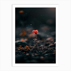 Flower In The Dark 21 Art Print