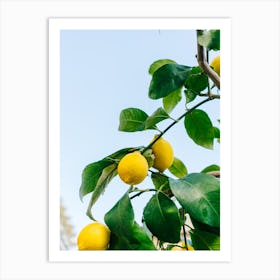 Amalfi Coast Lemons III Art Print