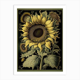 Sunflower 1 Floral Botanical Vintage Poster Flower Art Print