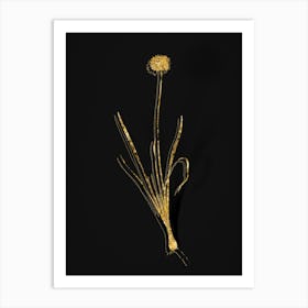 Vintage Mouse Garlic Botanical in Gold on Black n.0131 Art Print