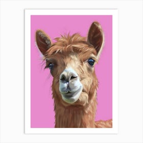 Llama 13 Art Print