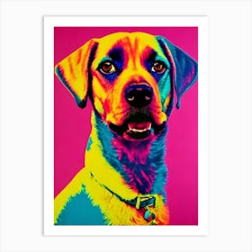 Belgian Laekenois Andy Warhol Style Dog Art Print