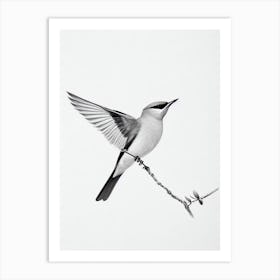 Cedar Waxwing B&W Pencil Drawing 1 Bird Art Print