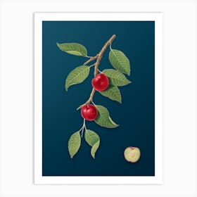 Vintage Cherry Plum Botanical Art on Teal Blue n.0562 Art Print