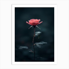 Single Rose 4 Art Print