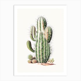 Notocactus Cactus Marker Art 1 Art Print