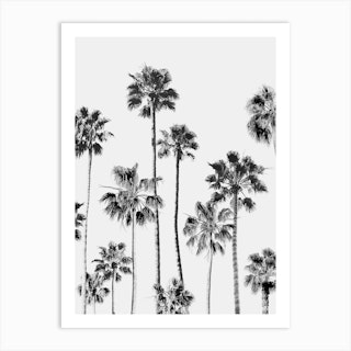 California Dreaming I print by Magda Izzard