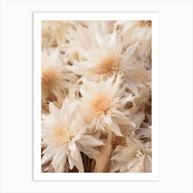 Boho Dried Flowers Edelweiss 3 Art Print