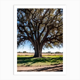 Large Oak Tree Art Print