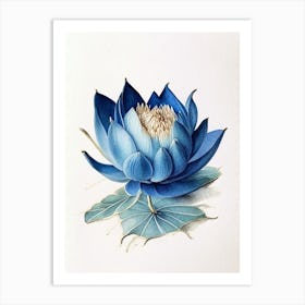 Blue Lotus Watercolour Ink Pencil 4 Art Print