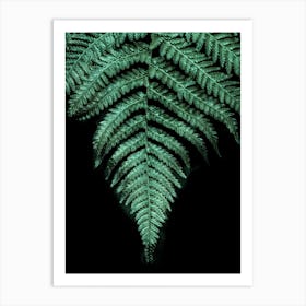 Fern Leaf Art Print