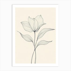 Tulip 3 Art Print