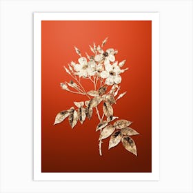 Gold Botanical Musk Rose on Tomato Red n.4234 Art Print