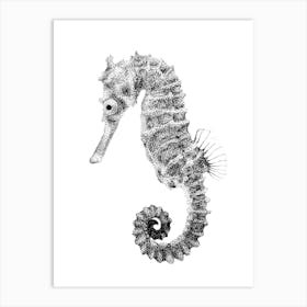 Dotwork Seahorse Illustration Art Print