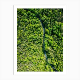 Aerial View Captures The Canopy Of A Lush Green Forest In The Throes Of Spring New Leaves Unfurling Art Print