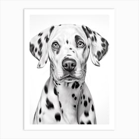 Dalmatian Dog, Line Drawing 1 Art Print